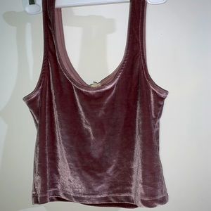 Urban Outfitters Mauve Velvet Top